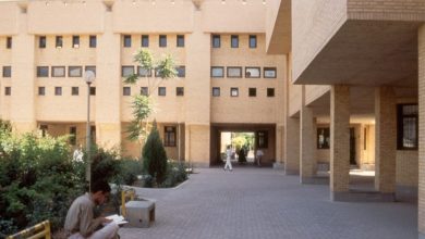 تحلیل پلان دانشگاه شهید باهنر کرمان همراه با پلانها و تصاویر